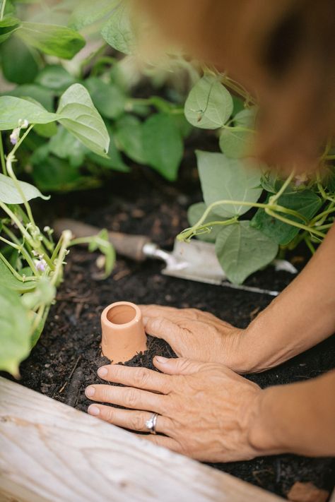 The Best Way to Water a Raised Garden Bed • Gardenary Raised Garden Watering System, Water Raised Garden Beds, Irrigation For Raised Beds, Watering Raised Beds, Watering System For Garden Raised Beds, Self Watering Garden Beds, Self Watering Raised Garden Beds, Barrel Garden Planters, Garden Water Pump