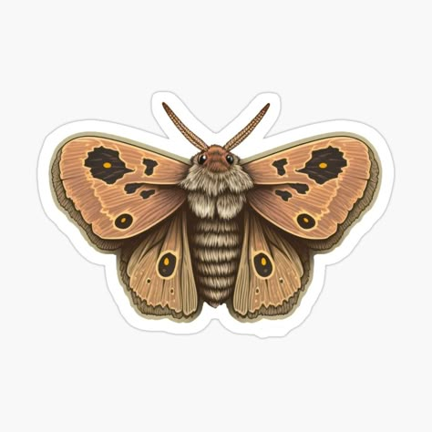 Get my art printed on awesome products. Support me at Redbubble #RBandME: https://www.redbubble.com/i/sticker/Moth-Sticker-with-Detail-by-bryanchvzz/138077772.EJUG5?asc=u Moth Stickers Printable, Pc Stickers, Brown Stickers, Brown Moth, Moth Sticker, Sticker Ideas, White Sweater, Diy Stickers, Printable Stickers