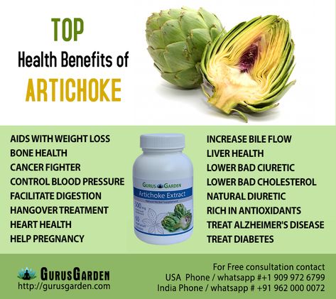 Artichoke Artichoke Benefits, Globe Artichoke, Artichoke Extract, Food World, Natural Diuretic, Eastern Countries, Hdl Cholesterol, Fluid Retention, Irritable Bowel