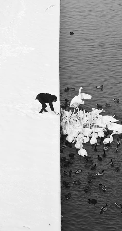 Marcin Ryczek Photography Jin Jang, Black And White Photograph, Foto Tips, Alphonse Mucha, Foto Art, Trik Fotografi, 판타지 아트, Jolie Photo, Black White Photos