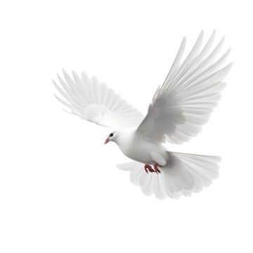 ideas,birds,inspiration,love,pets,animal,beautiful,sky,wing,peace,background,dove,white,freedom,isolated,nature,feather,hope,purity,flight,free,fly,black,symbol,pigeon,holy,religious,growth,flying,painting Peace Background, White Dove Flying, Flying Painting, Dove Flying, Day Of Peace, Dove White, International Day Of Peace, Psd Background, Black And White Tree