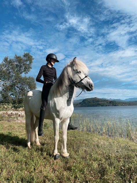 Icelandic Horse Riding, Julia Vibes, Icelandic Pony, Cute Horse Riding Outfits, Island Horse, Homesteading Animals, Horsey Life, Horse Riding Aesthetic, Icelandic Horses