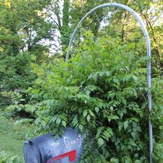 Metal Conduit Ideas, Summer Camp Counselor, Small Trellis, Solar Cooker, Colonial Garden, Electrical Conduit, Greenhouse Effect, Diy Trellis, Wildflower Seeds