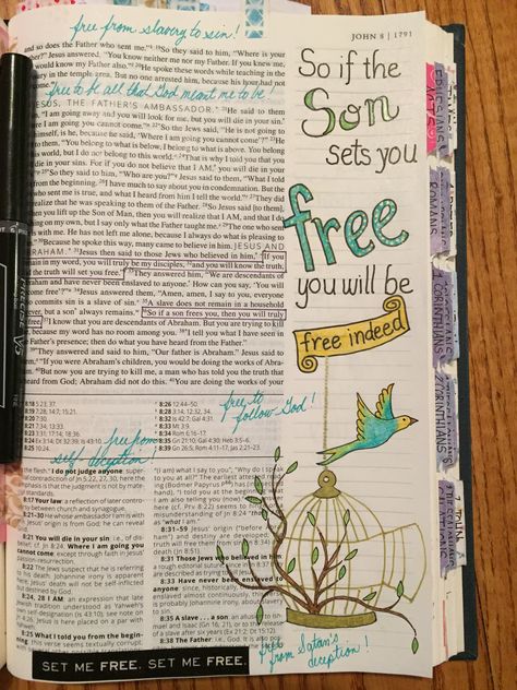 John 8 Bible Journaling, Verse Journaling, Spiritual Heart, John 8 36, John 8 32, Inspire Bible, Calligraphy Ideas, Faith Is The Substance, Faith Journaling