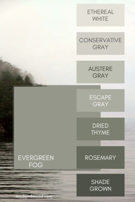 Shade Lighter Than Evergreen Fog, Sherwood Williams Evergreen Fog, Aw Evergreen Fog, Evening Fog Sherwin Williams, Shade Grown Color Palette, Sherwin Williams Paint Evergreen Fog, Dryer Thyme Sherwin Williams, Color Palette With Evergreen Fog, Sw9130 Evergreen Fog