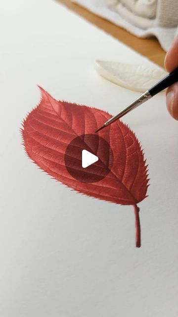 Egle Kolev • Watercolor Painting Artist and Tutor on Instagram: "The jewels of Autum, full tutorial is on my PATREON, you can don't the link in my bio or simply comment LEAF and I will send it to you. Happy autumn everyone and to a lot of code painting nights 🍂🎨

.
.
.

#watercolorpainting #watercolourpainting #watercolorart #watercolor #watercolour #painting  #art #botanicalwatercolor #botanicalartist #botanical #botanicalart #botanicalillustration  #illustration  #botanicalpainting #artist #artwork #realism #artistoninstagram #watercolorpainting #watercolor.illustrations #youtuber
#aquarelle #patreon
#leaftutorial #leafpainting #leaf #autumnleaf #goldenleaves" Watercolor Masters, Happy Autumn, Watercolor Video, Painting Artist, Botanical Painting, Botanical Watercolor, Watercolor Illustrations, Watercolor Leaves, Night Painting