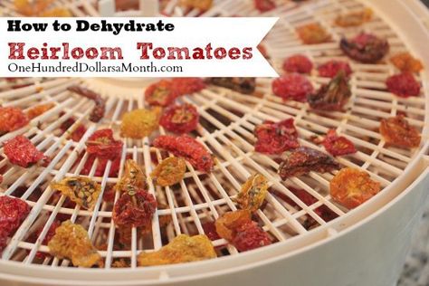 how to dehydrate heirloom tomatoes Dehydrate Tomatoes, Dehydrating Tomatoes, Preserving Tomatoes, Preserve Food, Dehydrated Fruit, Garden Harvest, Dehydrated Food, Crayon Art, Dehydrator Recipes