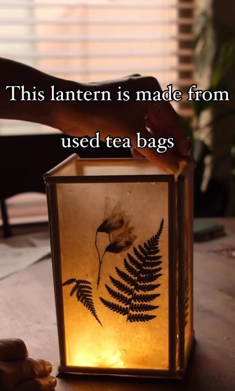 Lantern made with used tea bags and flowers Homemade Lanterns, Diy Lantern, Lantern Diy, Used Tea Bags, Diy Lanterns, How To Make Lanterns, Green Lantern, Tea Bags, My New Room