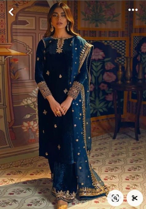 Velvet Pakistani Dress, Dress Designing Ideas, Dress Designing, Blue Organza, Velvet Dress Designs, Back The Blue, Designing Ideas, Gota Work, Pakistani Fancy Dresses