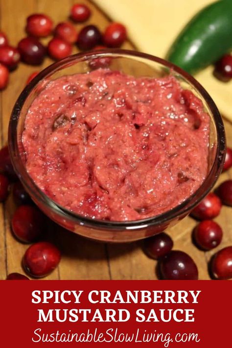 Cranberry Mustard Sauce, Cranberry Mustard Recipe, Mustard Sauce For Salmon, Cranberry Honey, Mustard Sauce Recipe, Cranberry Mustard, Cranberry Meatballs, Honey Mustard Recipes, Sauce For Salmon