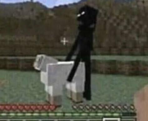 Minecraft Cursed Pictures, Minecraft Pet Grave, Funny Minecraft Builds, Cursed Minecraft Images, Cursed Minecraft, Pfp Minecraft, Nerd Project, Minecraft Pfp, Minecraft Random