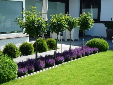 Atrium Garden, Front Garden Landscape, نباتات منزلية, Front Garden Design, Back Garden Design, Backyard Pools, Front Landscaping, Modern Garden Design, Have Inspiration