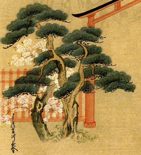 Japanese Trees Painting, Japanese Tree Illustration, Japanese Forest Art, Japanese Scroll Art, Ramen Animation, Bonsai Tattoo, Japanese Scroll, Japanese Tree, Japanese Bonsai