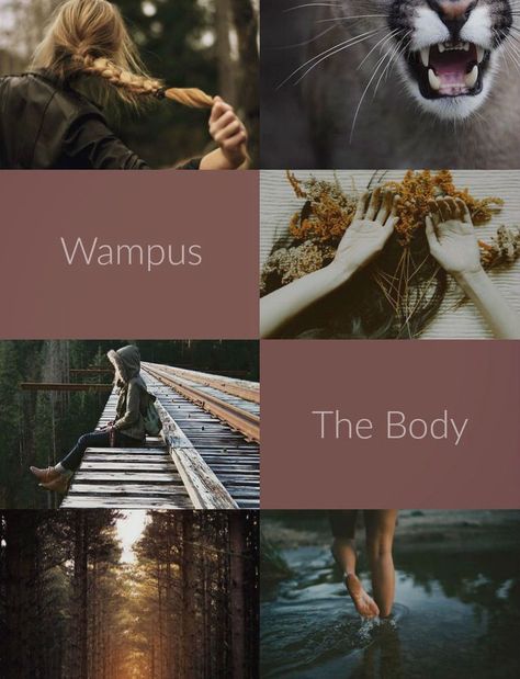 Wampus Ilvermorny Aesthetic, Ilvermorny Wampus, Ilvermorny Aesthetic, American Wizarding School, Horned Serpent, Fantastic Beasts Movie, Gellert Grindelwald, The Best Series Ever, Fantastic Beasts And Where