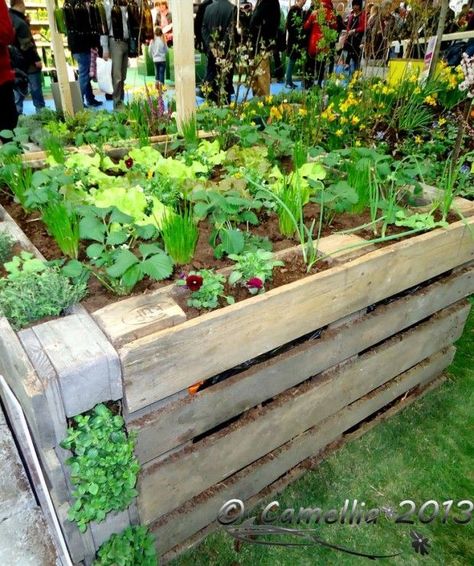 ideas pallets raised garden beds (14) #raisedbedspallets Euro Pallet, Euro Pallets, Raised Flower Beds, Raised Garden Beds Diy, Veg Garden, Pallet Garden, Pallets Garden, Have Inspiration, The Secret Garden