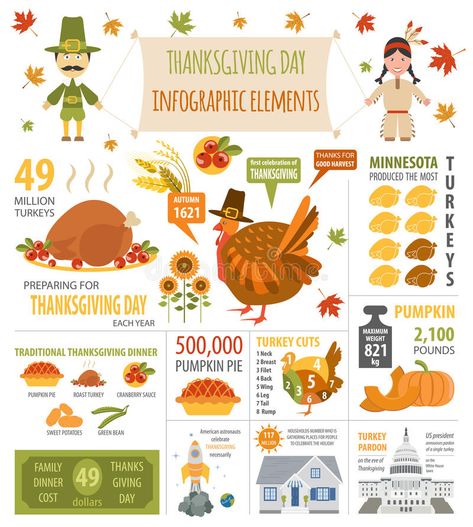 Thanksgiving day, interesting facts in infographic. Graphic temp. Late. Vector i #Sponsored , #ad, #AD, #interesting, #Thanksgiving, #Late, #facts Thanksgiving Infographic, Thanksgiving Fun Facts, Sweet Potato Green Beans, Turkey Facts, Traditional Thanksgiving Dinner, Turkey History, Thanksgiving History, Thanksgiving Facts, Arabic Tattoo Quotes