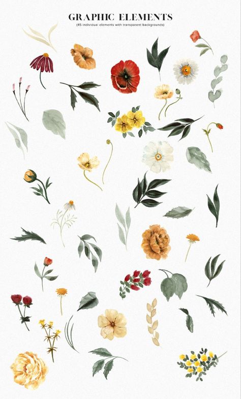 Frühling Wallpaper, Floral Graphic Design, Winter Florals, Boutique Logo Design, Illustration Botanique, Winter Floral, בר מצווה, Golden Flower, Floral Illustration