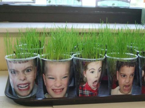 Neat kids hort. Project Grass Heads, Preschool Garden, Weck Jars, Homeschool Crafts, Creative Curriculum, Plant Projects, Outdoor Classroom, Spring Plants, Creative Gardening