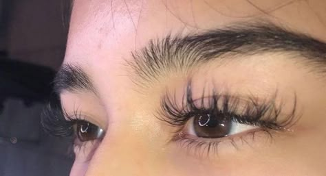 Thick Brows, Pretty Lashes, Long Eyelashes, Thick Lashes, Desired Face, Thick Eyebrows, Thicker Eyelashes, Natural Eyelashes, Beauty Goals