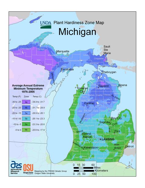 Michigan Plant Hardiness Zone Map Growing Zones Map, Planting Zones Map, Michigan Trees, Vegetable Planting Calendar, Planting Zones, Time Zone Map, Michigan Gardening, Map Of Michigan, Plant Hardiness Zone Map