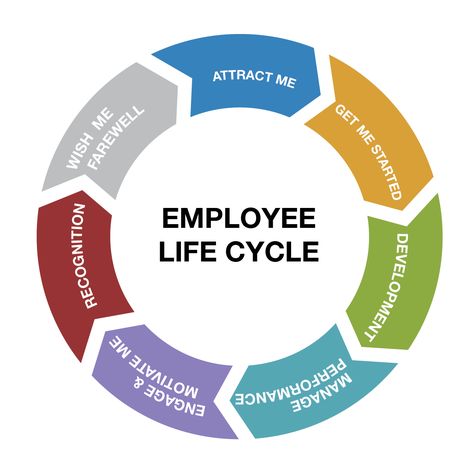 employee life cycle info graphic Employee Life Cycle, Human Resources Quotes, Human Resources Humor, Human Resources Career, Hr Humor, Employee Experience, Human Capital, Employee Development, Employee Retention