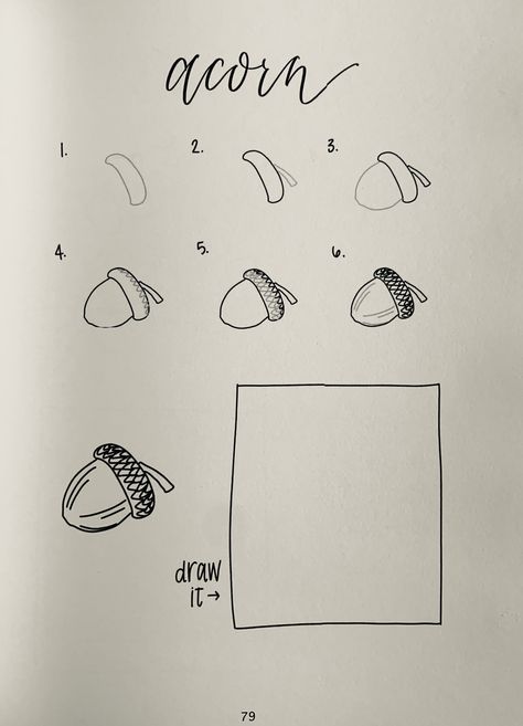 How To Draw An Acorn Step By Step, Fall Doodles Step By Step, Simple Acorn Drawing, Acorn Drawing Sketches, Acorn Sketch, How To Draw Woodland Animals Step By Step, Acorn Drawing, Beginner Sketches, Easy Animal Drawings