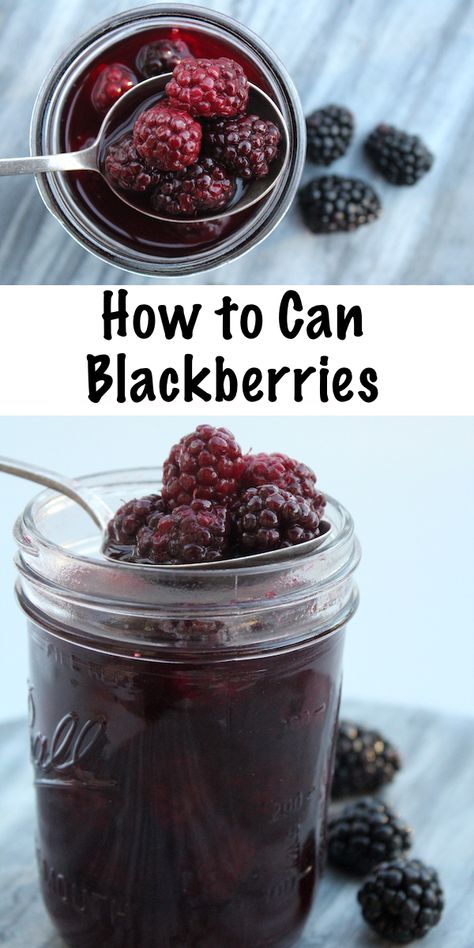 How to Can Blackberries ~ Canning Blackberries at Home Canning Syrup, Canning Blackberries, Canning Process, Canning Fruit, Winter Baking, Home Canning Recipes, Blackberry Recipes, Canning Food Preservation, Canned Food Storage