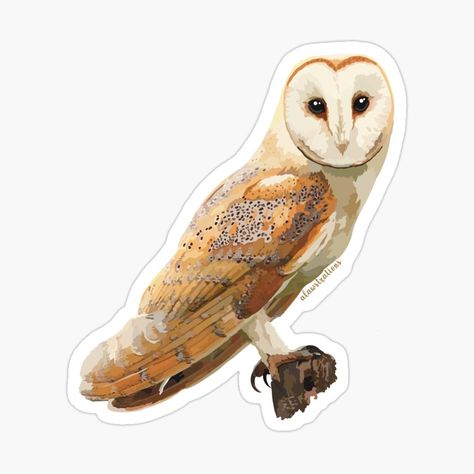 Owl Doodle, Feather Stickers, Owl Drawing, Computer Stickers, Owl Stickers, Computer Sticker, Owls Drawing, White Owl, Zoo Animal