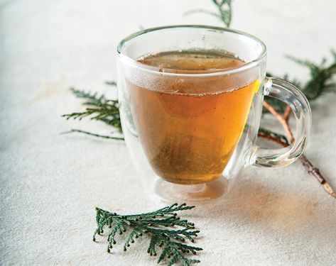 A cup of cedar tea next to some pine branches. Cedar Tea Recipe, Yarrow Aesthetic, Native Recipes, Herbal Bath Recipes, Wild Tea, Medicinal Herbs Remedies, London Fog Tea, Earth Food, Medicine Garden