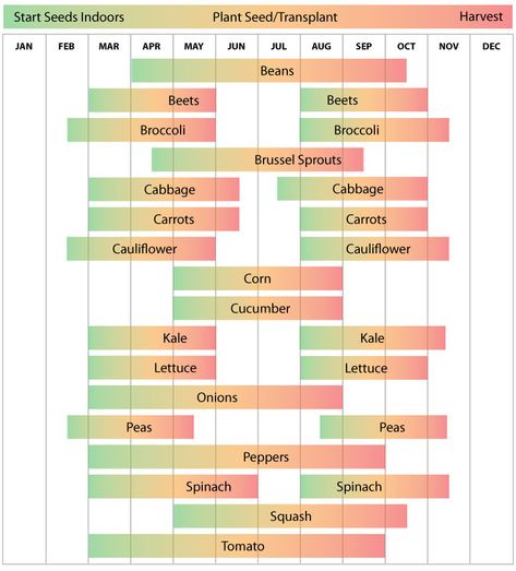 Zone 7 - Vegetable Planting Calendar Guide - Urban Farmer Seeds Vegetable Planting Calendar, Planting Zones, Vegetable Planting Guide, Vegetable Planting, When To Plant Vegetables, Gardening Planting, Planting Calendar, Zone 7, Plant Zones