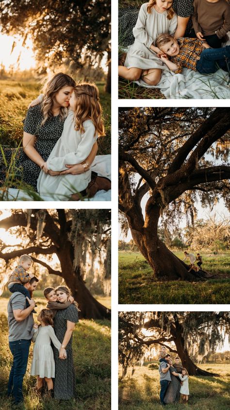 Adventure family session at sunset with mossy trees Spanish Moss Family Photos, Enchanted Forest Family Photoshoot, Oak Tree Photoshoot, Willow Tree Family Photos, Vintage Family Photoshoot Ideas, River Family Photoshoot, Forest Family Photoshoot, Willow Tree Family, Outdoor Poses