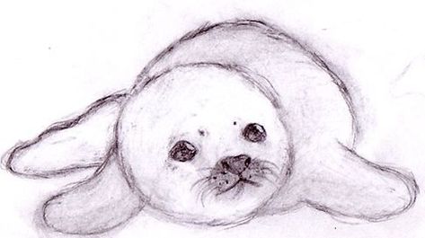 Seal Pup Drawing, Seal Drawing Reference, Easy Seal Drawing, Cute Seal Tattoo, Cute Seals Drawing, Cute Seal Art, How To Draw A Seal, Seal Drawing Cute, Harp Seal Drawing