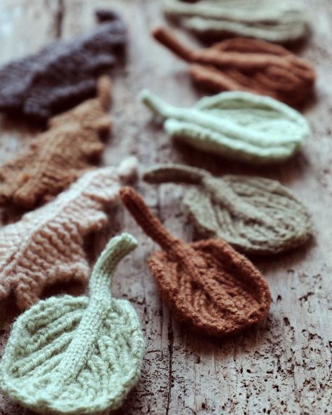 15 Leaf Knitting Patterns (Free + Easy). Knit your own leaf collection with one of these patterns from my favorite designers. Knitted Leaf Pattern Free, Knit Leaf Pattern Free, Knitted Potholders, Knitted Leaves, Leaf Knitting Pattern, Knitting Flowers, Knit Stitches For Beginners, Junk Kouture, Knitting Increase