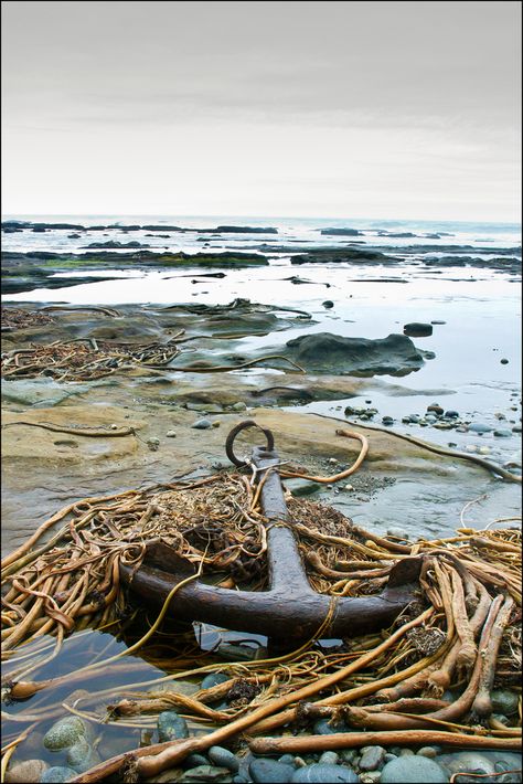 Anchor on the Beach on West Coast Trail, Vancouver Island, British Columbia by Joe McKenna West Coast Trail, Lighthouse Keeper, Sea Captain, Vancouver Island, Beach Scenes, Pics Art, Ocean Beach, Sea Life, Beach Life