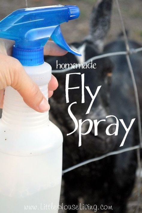 Homemade Fly Spray, Fly Spray For Horses, Fly Spray, Insect Spray, Coop Ideas, Fly Repellant, Horse Fly, Bug Repellent, Essential Oils Rosemary