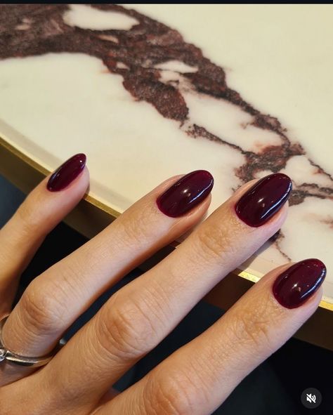 Dark Red Dip Nails, Wine Manicure, Fall Gel Manicure, Caitlyn Core, Carol Core, Oxblood Nails, Nails For 2023, Red Gel Polish, Fall Almond Nails