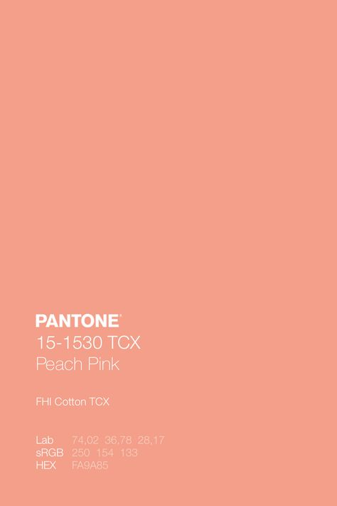 Pantone Peach Pink, Peach Hex Code, Color Palette Peach, Peach Pantone, Pink Color Code, Mood Boards Color, Branding 2023, Peach Color Palette, Wardrobe Colour