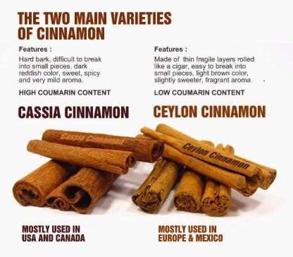 How to harvest cinnamon | La Gringa's Blogicito Types Of Cinnamon, Saigon Cinnamon, Cinnamon Health Benefits, Cinnamon Benefits, Cassia Cinnamon, Ceylon Cinnamon, Cinnamon Sticks, Health Benefits, Health Tips