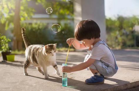 Cats And Babies, Making Bubbles, Photos Of Cats, Asian Kids, Human Reference, Body Reference Poses, Human Poses Reference, Love Language, Human Poses