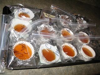 Diy Petri Dish Gelatin, Homemade Incubator, Petri Dishes, Petri Dish, Home Schooling, Microbiology, Beef Broth, Home School, Biology