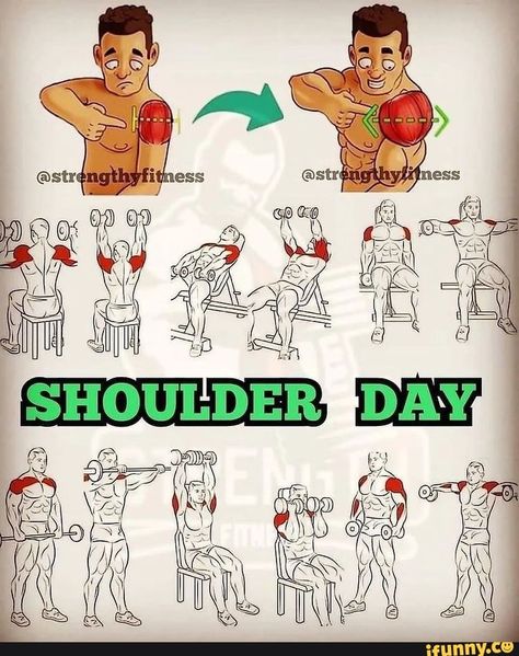 Workout Gym Routine, Gym Workout Guide, Gym Workout Planner, Shoulder Exercises, Gym Antrenmanları, Shoulder Day, Bodybuilding Workout Plan, Gym Workout Chart, Workout Routine For Men