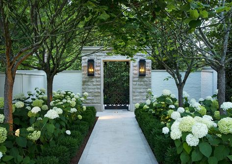 Beautiful Gardens Landscape, Southern Garden, White Hydrangeas, Front Landscaping, Have Inspiration, Greek Revival, Home Landscaping, Seasonal Garden, White Gardens