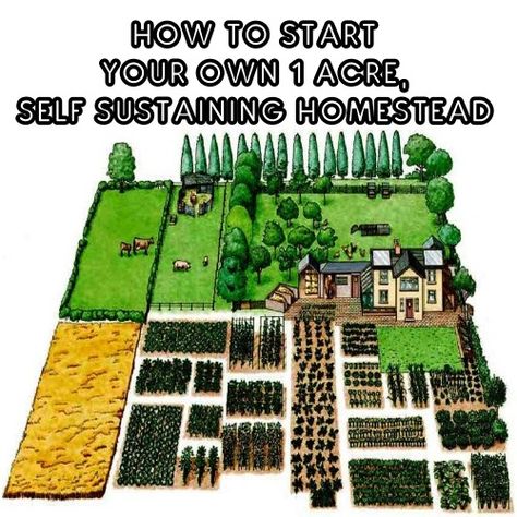 Close Line Ideas, Self Sustaining Garden, Hobby Farms Layout, Farming For Beginners, Farm Landscaping, Homestead Layout, Raised Bed Gardening, Self Sustaining, Acre Homestead