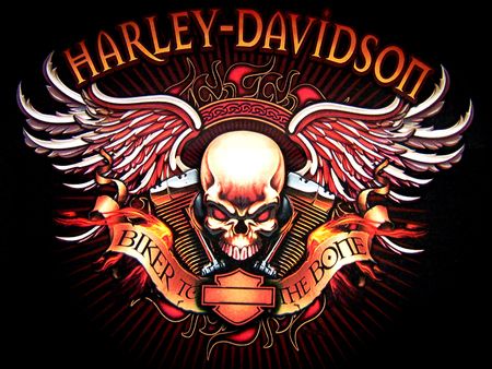 Harley Davidson Logo With Flames Vector Vector art Harley Davidson Kunst, Motor Harley Davidson, Harley Davidson Cake, Harley Davidson Skull, Мотоциклы Harley Davidson, Prints Shirts, Harley Davidson Tattoos, Harley Davidson Artwork, Harley Davidson Wallpaper