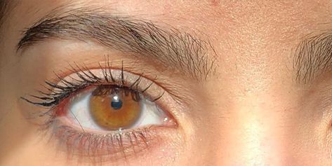 Amber Eyes: Science, Myths and Personality Traits of Amber Eyed People Honey Eyes Color, Amber Eyes Color, Pretty Eyes Color, Chameleon Eyes, Rare Eye Colors, Honey Eyes, Brown Eyes Aesthetic, Rare Eyes, Beautiful Eyes Color