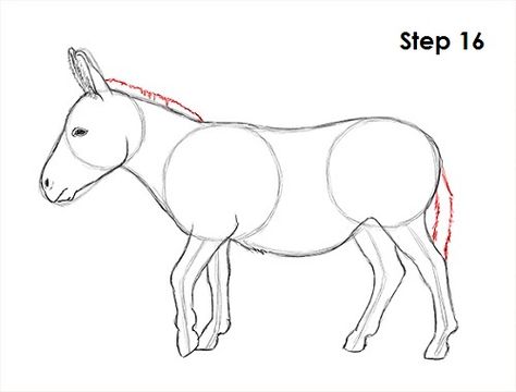 Donkey Drawing 16 Zebra Drawing Sketches, Draw Donkey, Zebra Sketch, Draw Horse, Donkey Drawing, Zebra Drawing, Animal Tutorial, Easy Christmas Drawings, Drawing Instructions