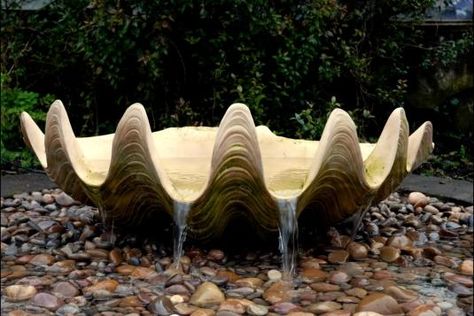 Shell Fountain, Hawaiian Beach House, Giant Clam Shell, Giant Clam, Glasgow School, Flat Ideas, Landscape Concept, Clam Shell, Garden Features