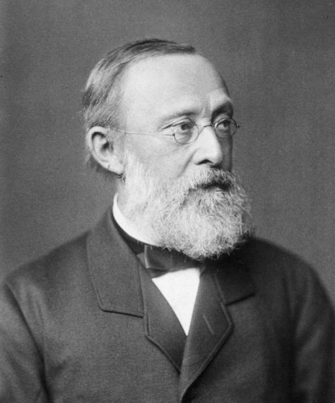 Rudolf Virchow Photograph Rudolf Virchow, Cell Theory, Otto Von Bismarck, Electron Transport Chain, Quote Of The Week, History Of Science, Medical History, Medical School, The Professional