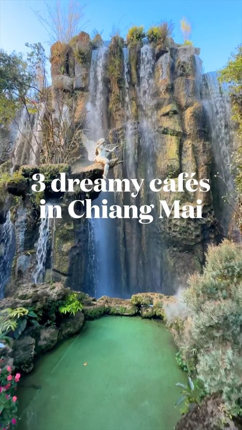 3 dreamy cafes to add to your bucket list in Chiang Mai 🇹🇭 📍Carp cafe 📍Dantewada land of angels 📍Chom cafe (And the first video is lalita… | Instagram Thailand Travel Tips, Thailand Travel Guide, Thailand Food, Travel Thailand, Chiang Rai, Bars And Restaurants, Restaurant Guide, First Video, Chiang Mai