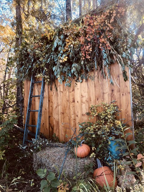 Pumpkin Photo Op Ideas, Fall Photo Backdrop Ideas Outdoor, Outdoor Fall Photoshoot Setup, Homecoming Backdrops, Fall Photo Backdrop Ideas, Fall Photo Booth Ideas, Family Farm Pictures, Homecoming Background, Fall Photo Backdrop Diy